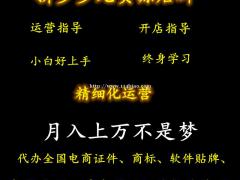 吉林长春拼多多无货源店群代运营工作室加盟