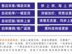 辽宁葫芦岛拼上拼截流运营玩法教学，拼多多店群小象群控软件OE