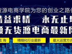 无货源店群拼多多培训加盟，淘上拼，拼上拼截流精细化教学包含软